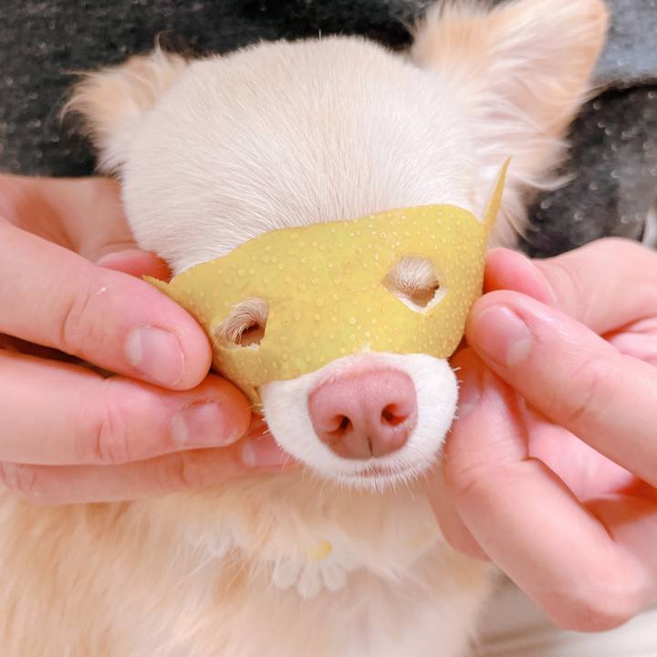 94013430 1aa5 4488 843b 5310306587e0 1660564976194