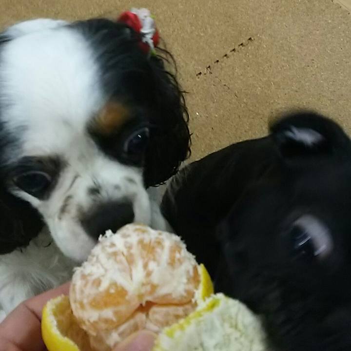 94013d0c 5ef5 42b2 a48a 6159428ced58 1538312383542