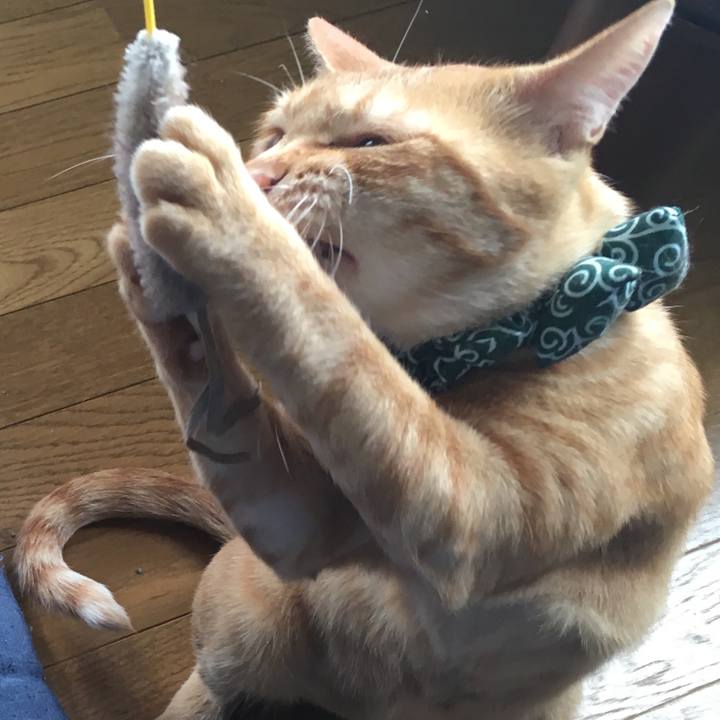 94015bd5 7ef8 415c 93cb 29c3b9252bcd 1532243670957