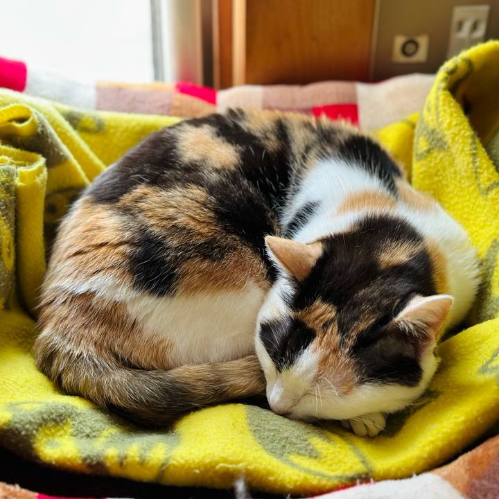 94017991 ed77 4ea0 99c8 79b64ced7a35 1681608730211