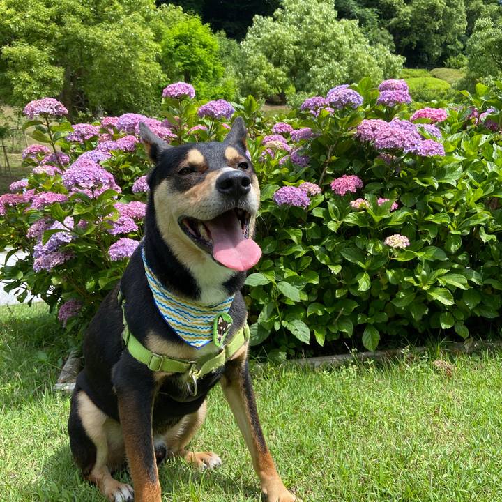 94018fcf b246 41cd 8921 3eaf4e183d67 1624271610611