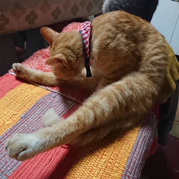 94019529 b8ae 49df 9b56 987a5141d9cd 1558437453481