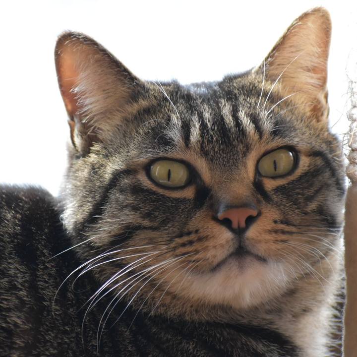 9401ab48 40a0 4904 a7d0 134b0ba19ffd 1515811607579