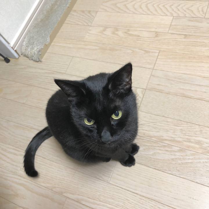 9401e823 c1e5 40b0 be8e 9b16786423a1 1608042929962