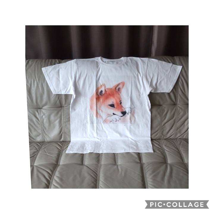 940222ec e123 4992 b07f 7f15b8910fbd 1663473499021