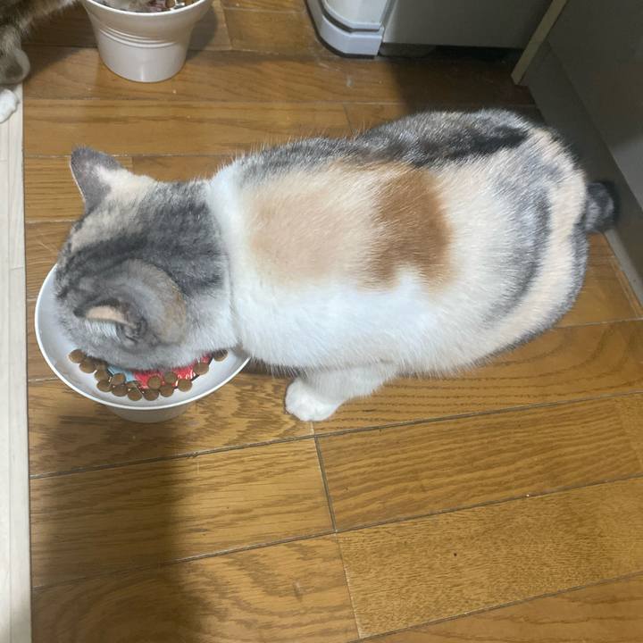 9402454f 775a 475e bbbf d149815950d1 1766214090962