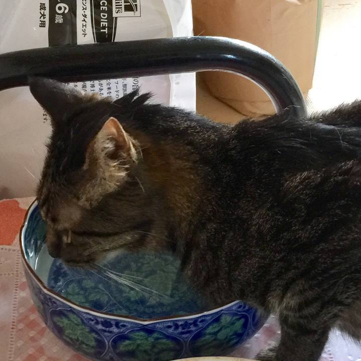 940252b2 e4c5 4fc9 bace 212d96170adf 1533611046749