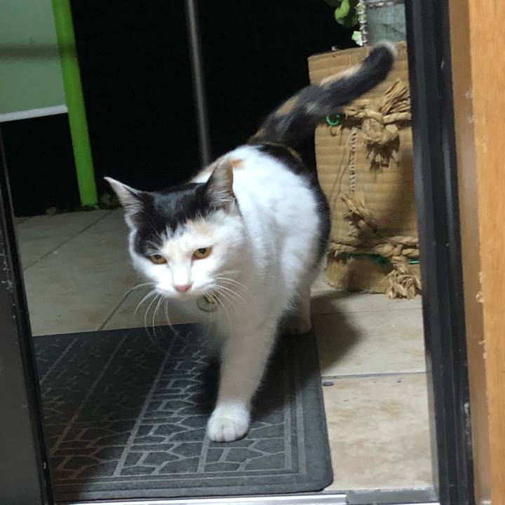 94026986 c99b 4345 9f5b 9c26beea3a59 1609798283588