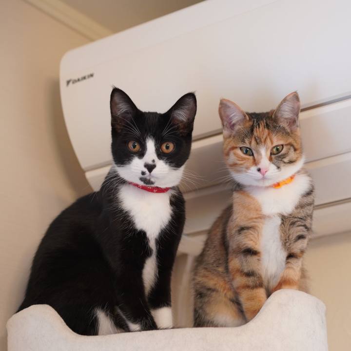 94029d6c 8b4d 4f92 b238 cd4547602e4c 1577702146675