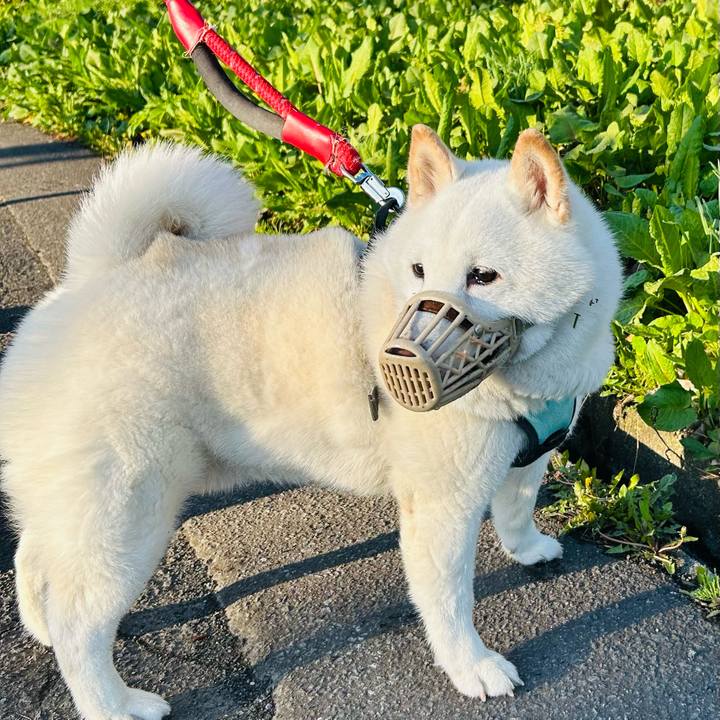 94031d8d 0382 492c b2d7 79fd647f0e00 1745788582650