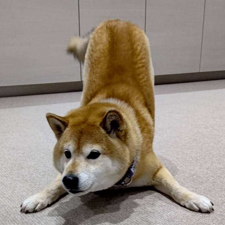 94033639 a7b1 4872 b233 9e6555449dd9 1615288659940