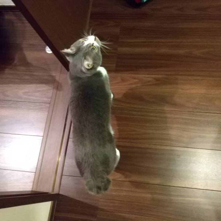 940350ce 61bf 4fa5 b519 742999df390e 1642023567170