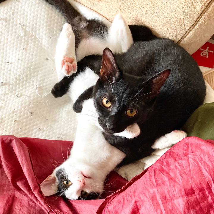 94038468 1135 4b66 958f 83b0bc736b02 1634185800423