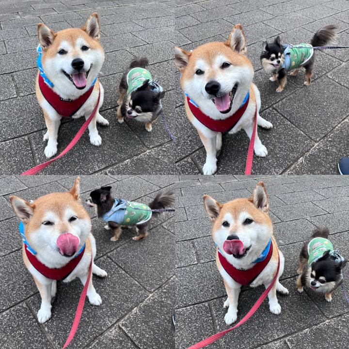 9403d5a4 20c0 4ff1 9a6c 352d1b083973 1688983483311