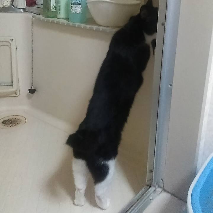 940404ea bdf3 481b 97ad 8eec89d88354 1565752856888