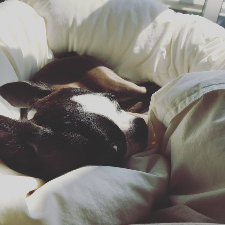 940421c4 fa92 4d86 8027 aa57a3723d3c 1522739543979