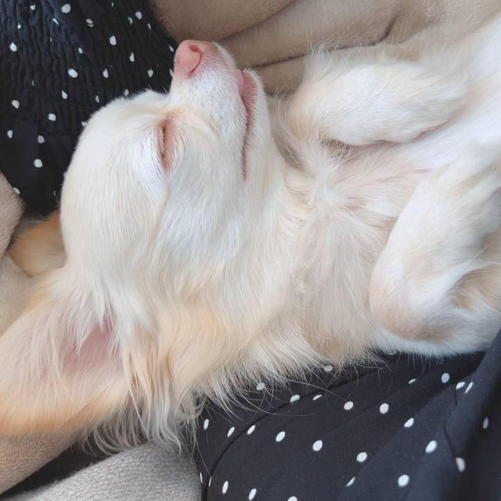 94042af5 f68b 4901 83a5 8b0ac3be9f72 1708326183993