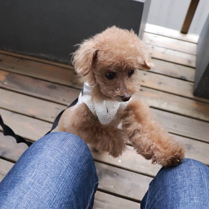 940441e6 2536 4e47 b05c 66a4bfe550ca 1616244888975