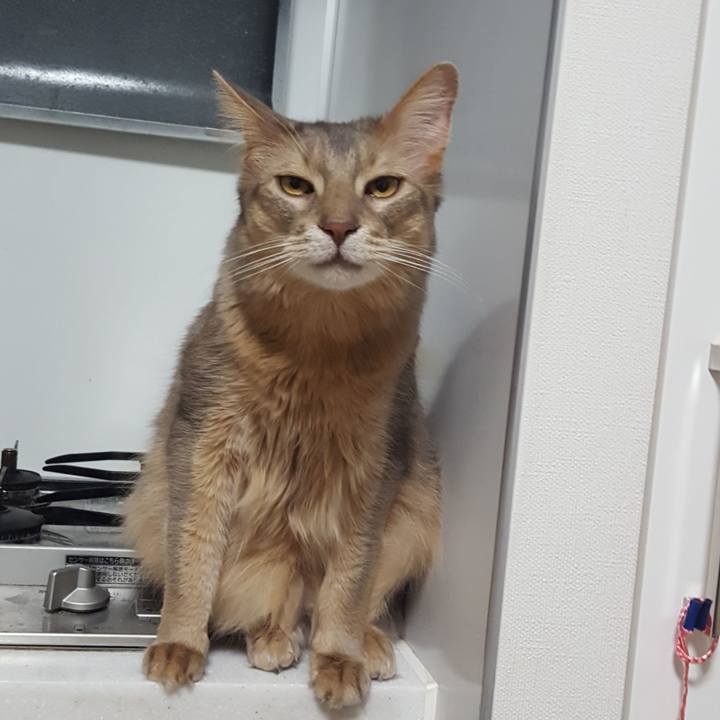 9404469c 2a3a 405a b53f 00b95a29c662 1583936273529