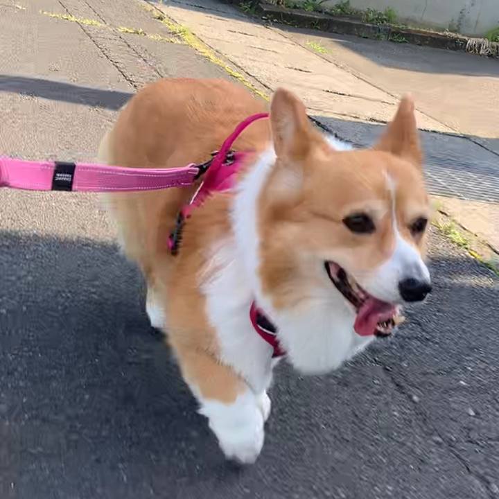 94046961 3d1c 47f8 8c65 40fa558f91c8 1653864268908