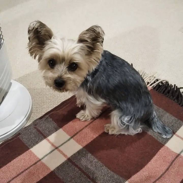 94046f03 f440 4852 9d9c d035c9c349fe 1674465769465