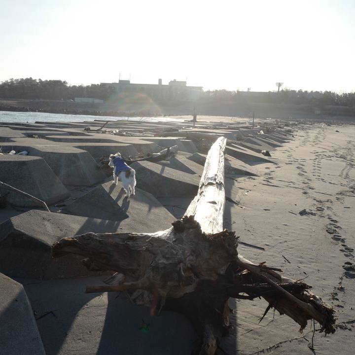 9404a69b 2d3d 4830 8712 73ff47b607c7 1576469609503