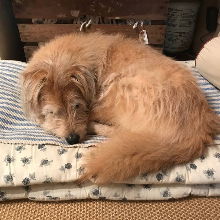 9404af0b 962a 4030 b20a c9c0dcc98f5e 1574440311518