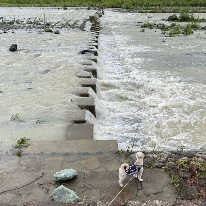 9404b4ed 7a22 487a 9b67 a8f6ea566668 1660440253592