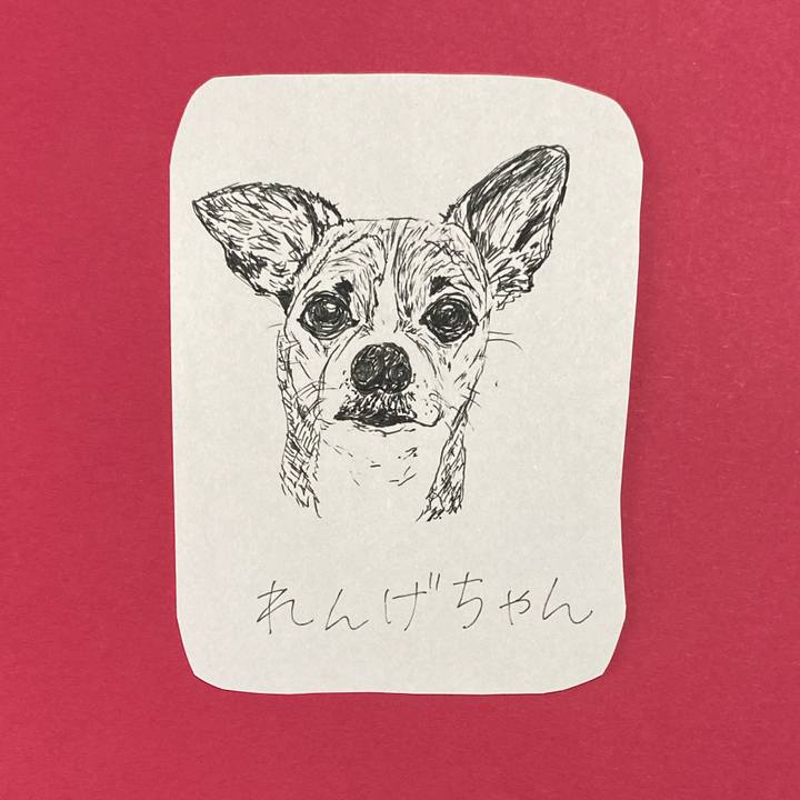 9404c3f2 dec2 457a 96c8 a3df48795623 1618804967175