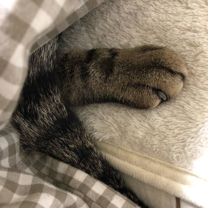 9404d62b 94ba 4ff1 bfb3 fef2a0d89bc2 1553303753945