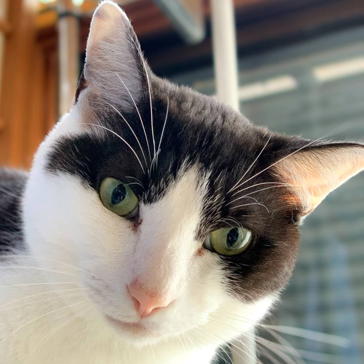 9404e39f 84d8 493b a930 9d21476c00d8 1592875878822