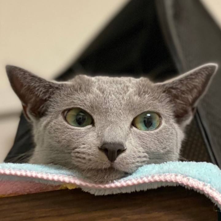 9404eca9 ae60 442f 8a40 44380c3ad615 1626610640356