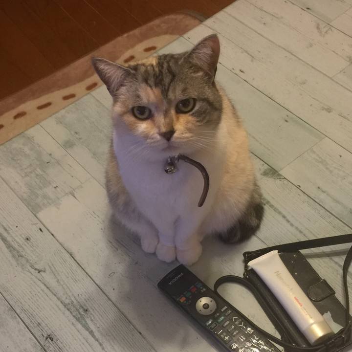 94051e88 01ce 46d2 8908 83d8f00f4197 1553009972687