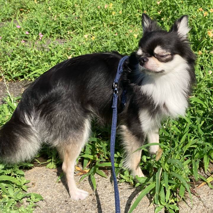 94058169 04e5 490d 8086 862de09b1a8d 1625891872303