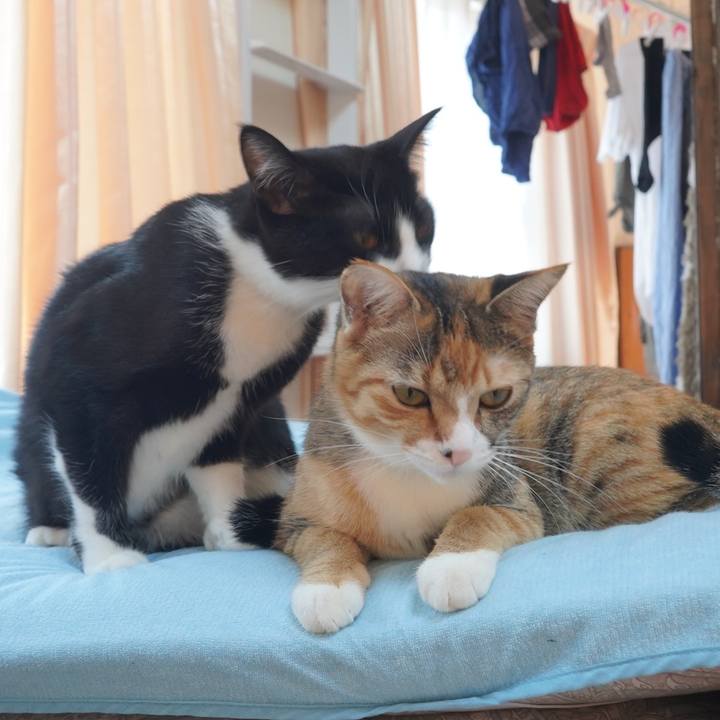 94058388 955b 4a51 83f4 8772c14134ad 1601441097328