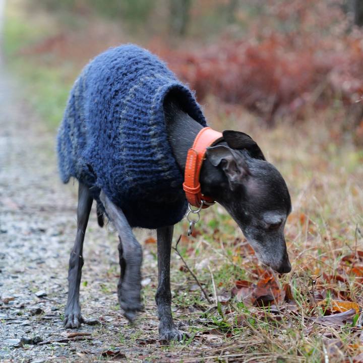 9405e836 a954 4117 8ba0 67ab682699c6 1771177704697