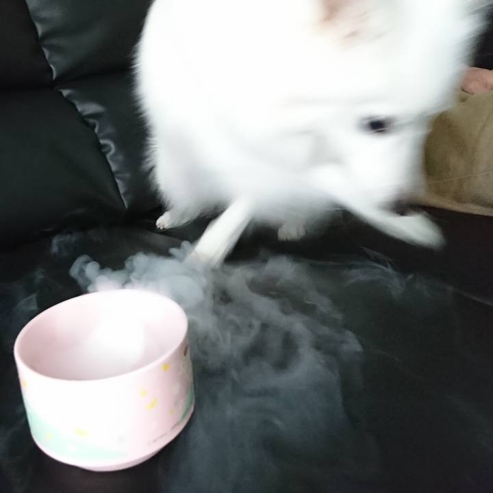 94060130 5d33 4423 8204 d82fd4e27d89 1532251135657