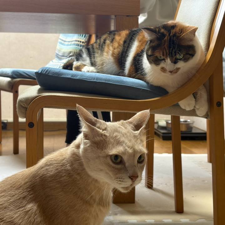 9406467e e3d2 4bb3 a5ff 4fa4291837ec 1768352562937