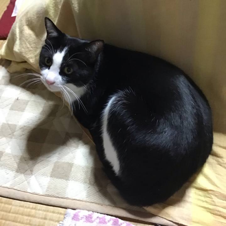 940651c7 8c93 416d b054 d507f271f9d3 1676201588277