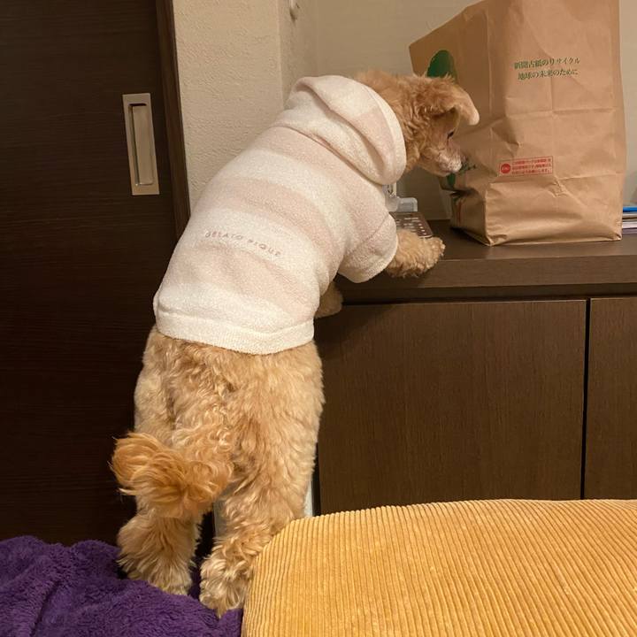 940674dc 11a7 4581 b97f ca4b4d325a98 1675759516102