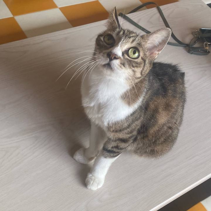 94067849 87e3 44fe b9e1 dee4b8b10a08 1723595816681