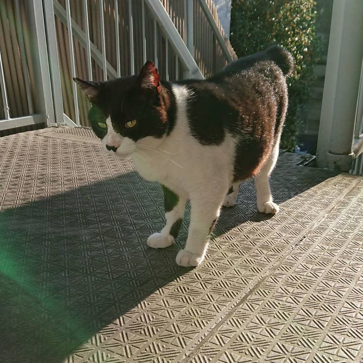 9406b600 9ec8 4b47 9a87 49b28ba49934 1538364761398