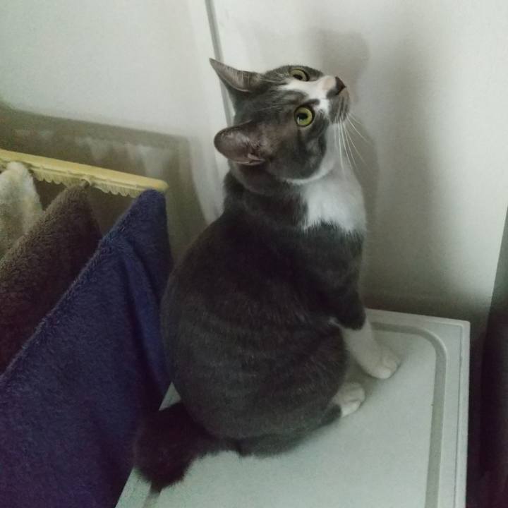 9406e255 552d 4ade a7c0 9b69131a3547 1599349051663