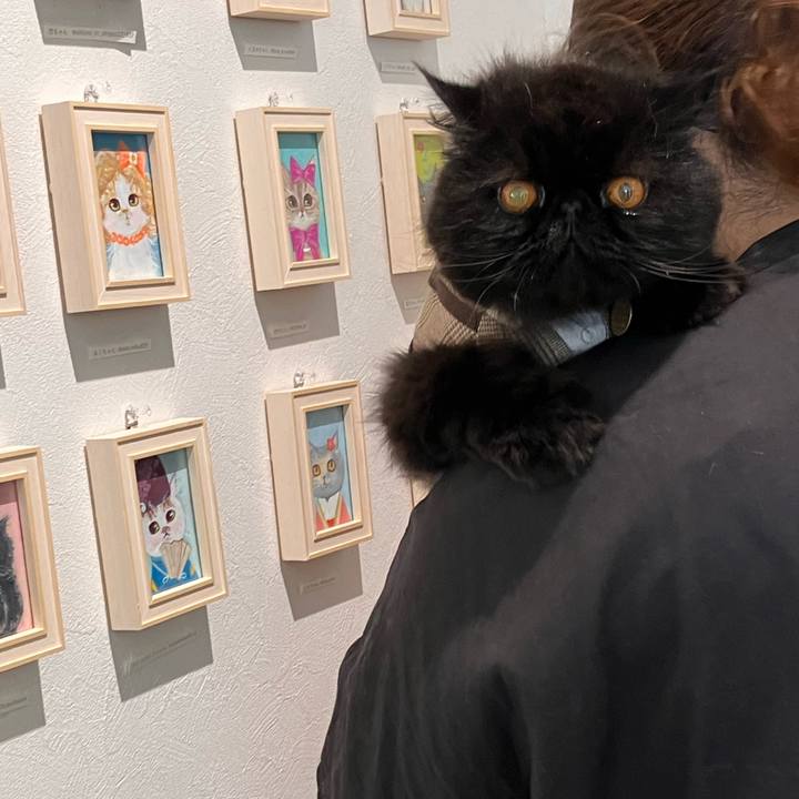 94071579 d346 43e6 a761 5fa2732f7879 1730026691747