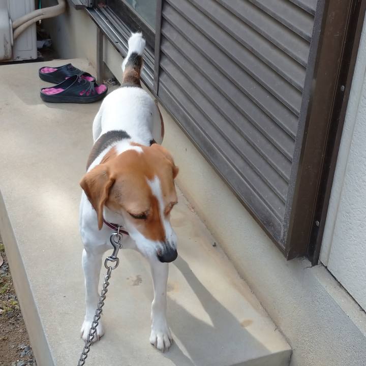 9407363b e411 449b a07c aeae19b34b33 1580014216735