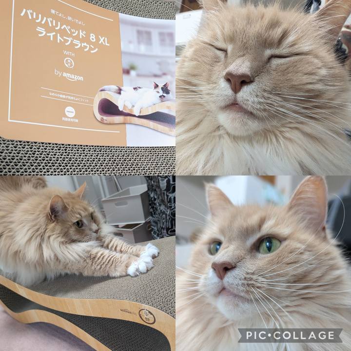 940752aa 1a71 423c aa2c 3ef4eb275022 1749530572053