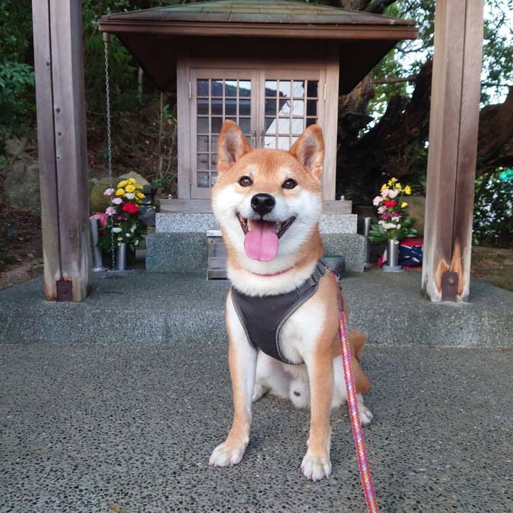 94075fec f288 41d4 ac04 6abeb42f5dc1 1761011571919