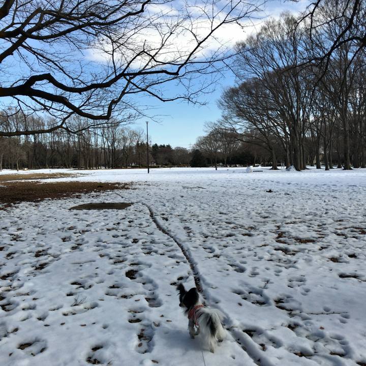 940794a4 82ef 4652 902b 27213a8fd37f 1517288382036