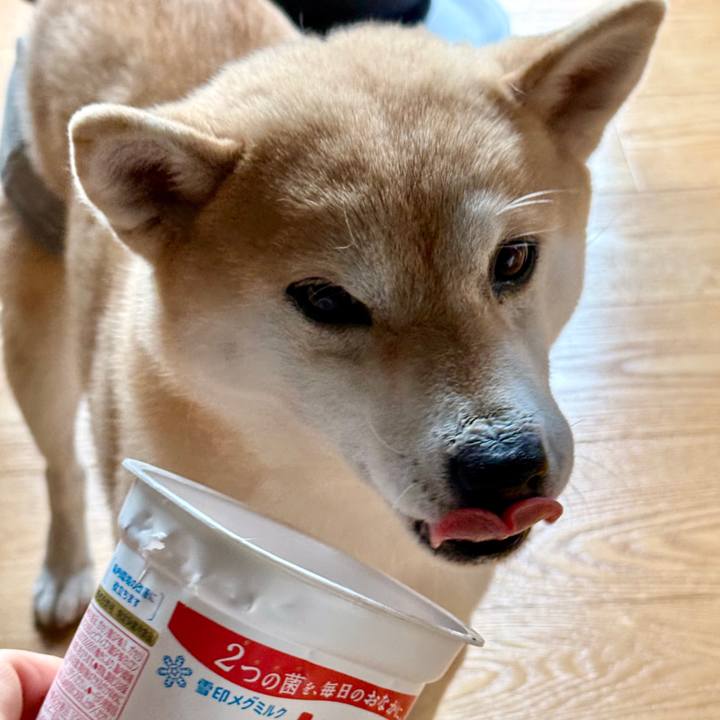 9407ac4c 783c 4f50 a0d7 e1751a4860db 1768953762889