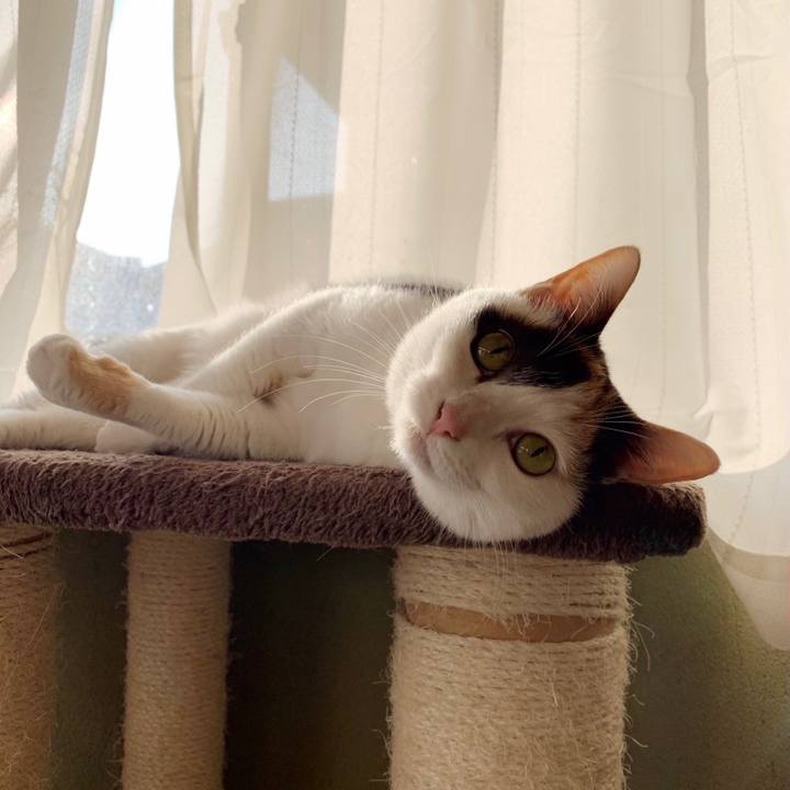 9407ee49 5e28 4e53 9d08 e7d53079f71c 1554000319666